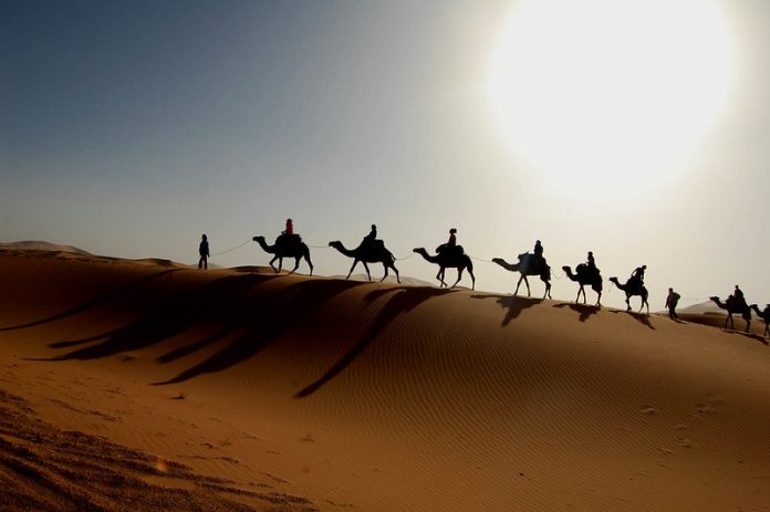 Moroccan Trips