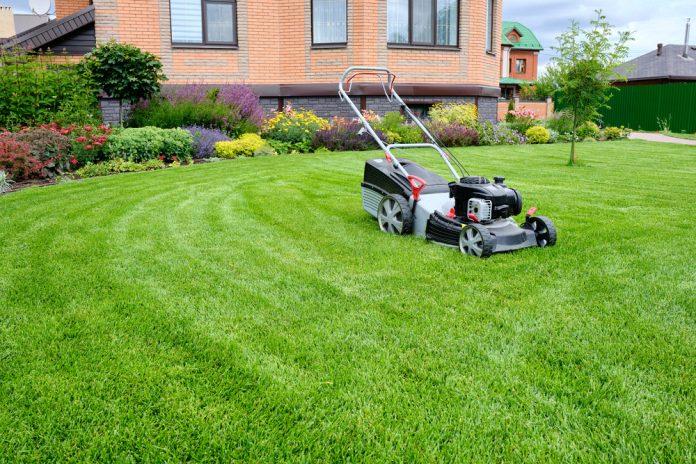 lawn mower sydney