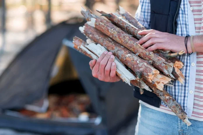 4 Best Ways to Keep Firewood Dry and Ready for Burning