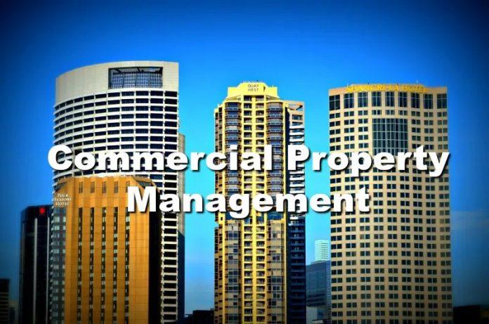 Benefits of Commercial Property Management to Upgrade Your Building