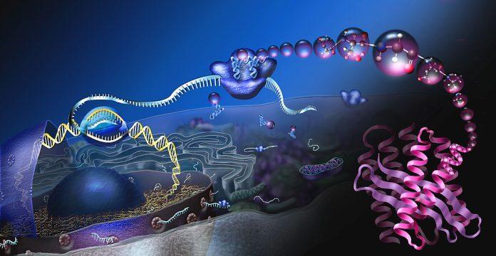 Protein analyzers