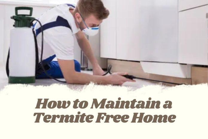 How to Maintain a Termite Free Home