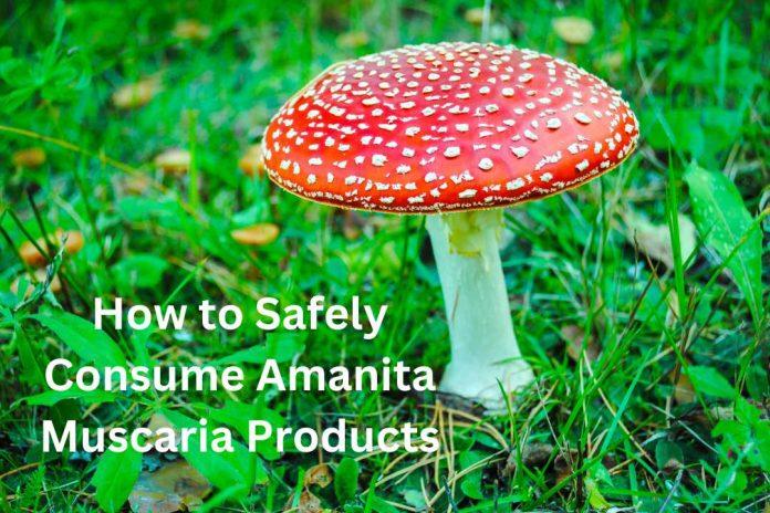 How to Safely Consume Amanita Muscaria Products