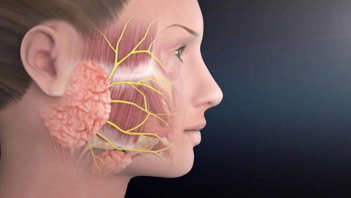 Parotid Tumors Market