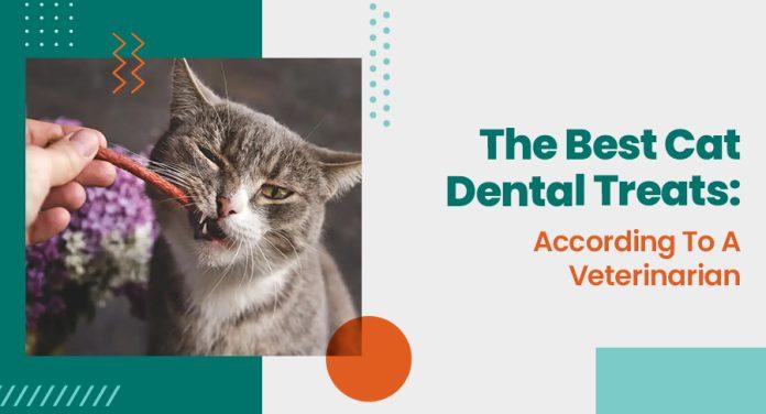 dental chews for cats