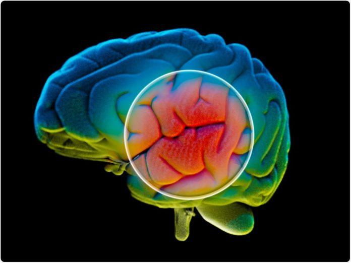 Types and Causes of Dementia Neurocognitive Disorders