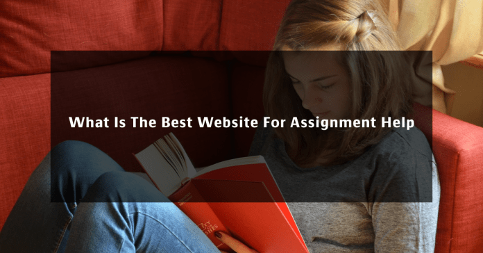 What Is The Best Website For Assignment Help