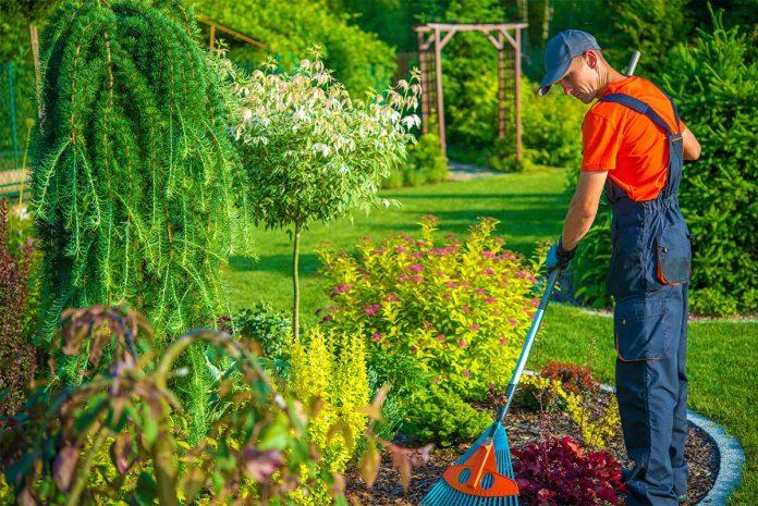 garden cleaners