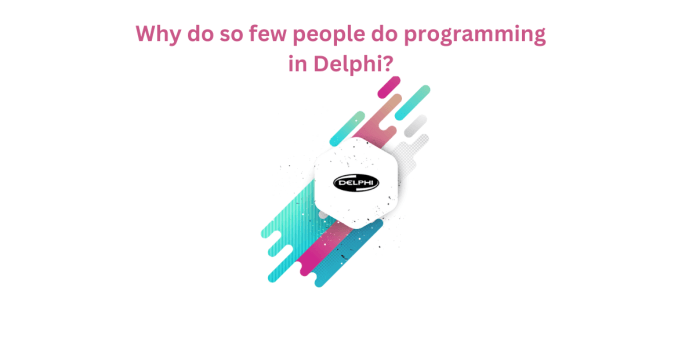 Delphi Development Services.