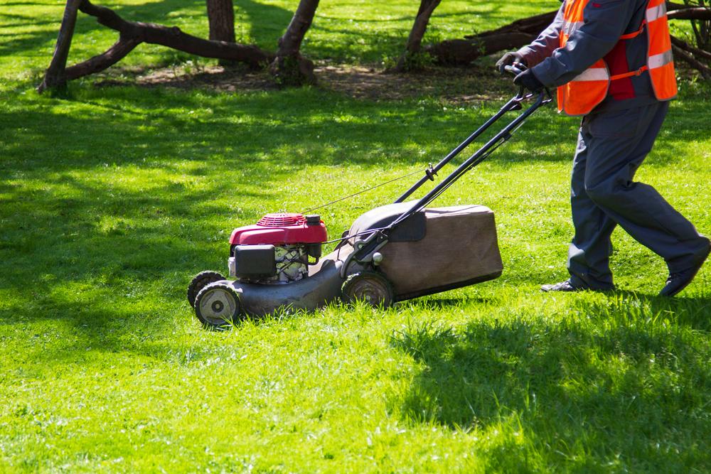 lawn mower sydney