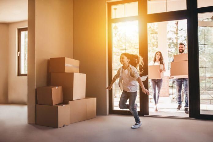 professional movers in dubai