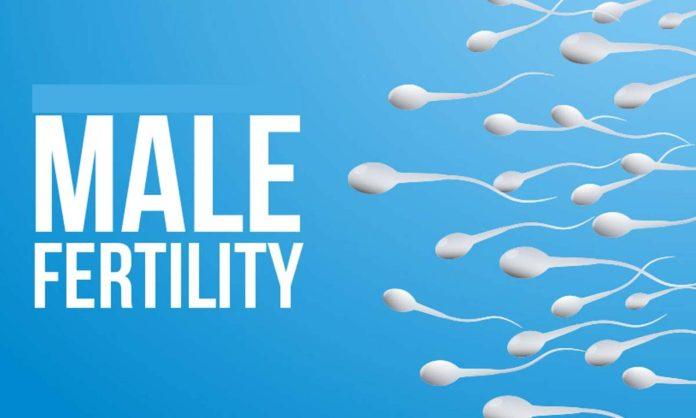 male infertility