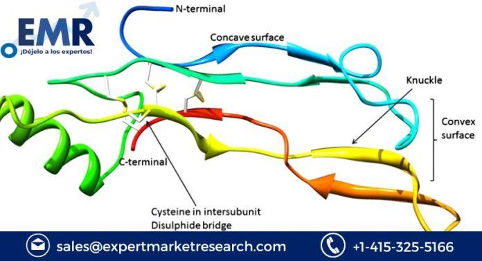 Bone Morphogenetic Proteins Market