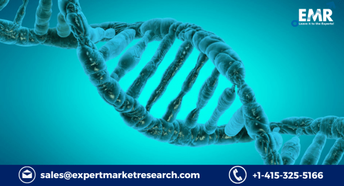 Epigenetics Market