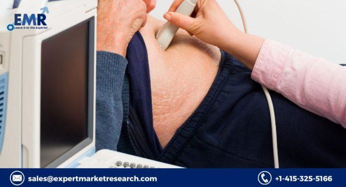 Portable Ultrasound Market