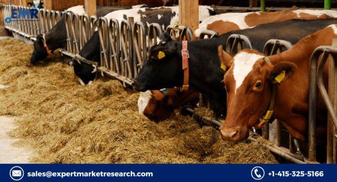 Probiotics in Animal Feed Market