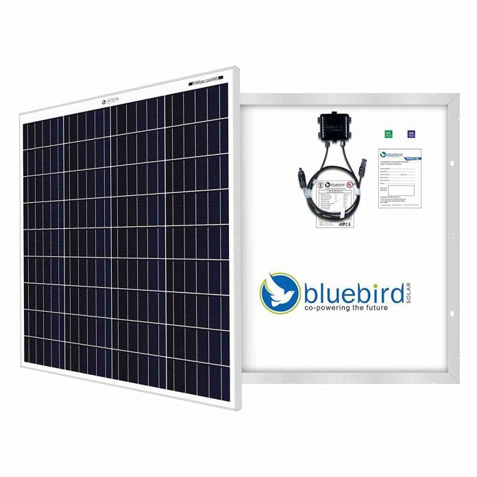 bluebirdsolar