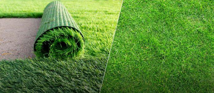 Artificial Grass vs. Natural Grass