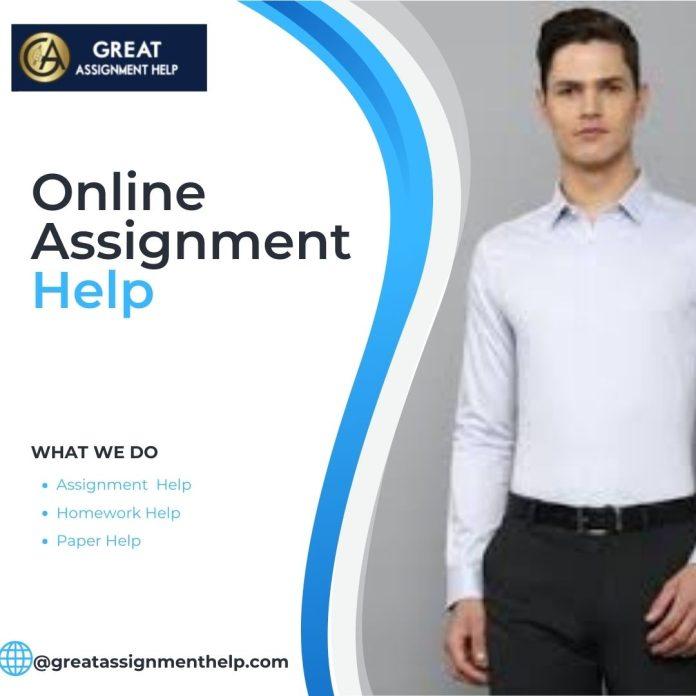 Assignment writing service 