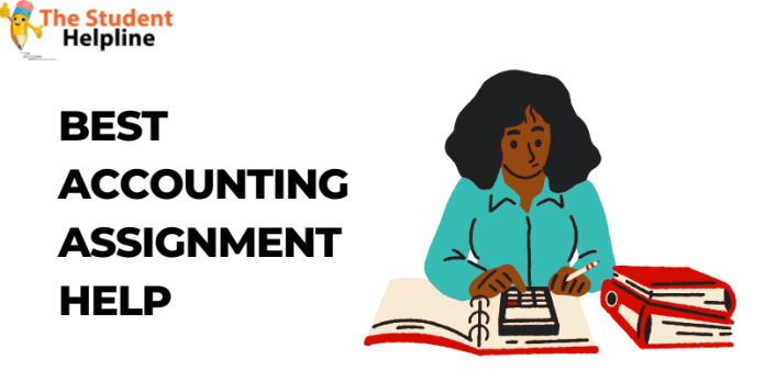 Best Accounting Assignment help