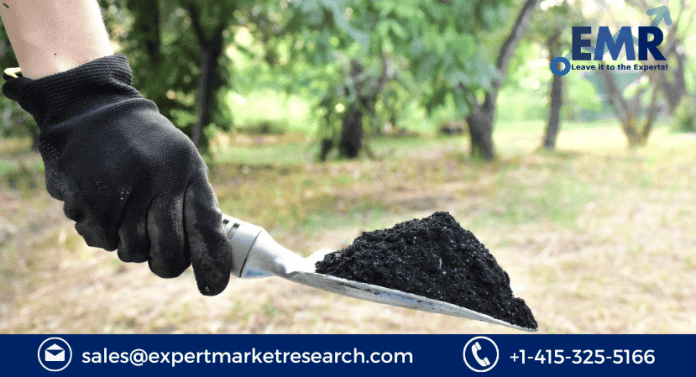 Biochar Market