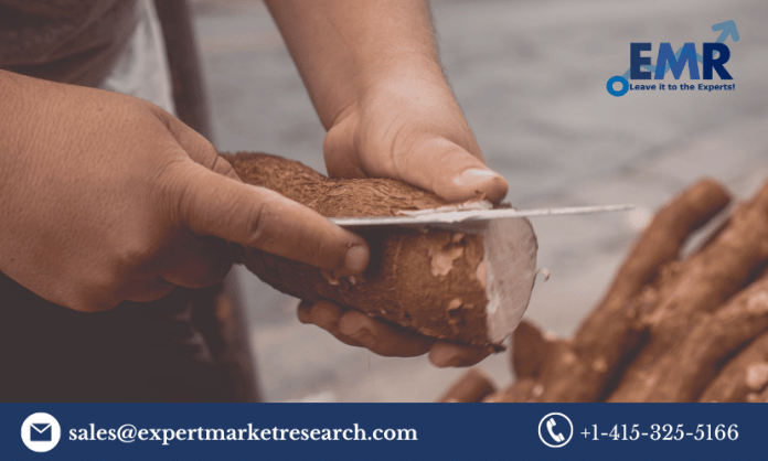 Cassava Processing Market