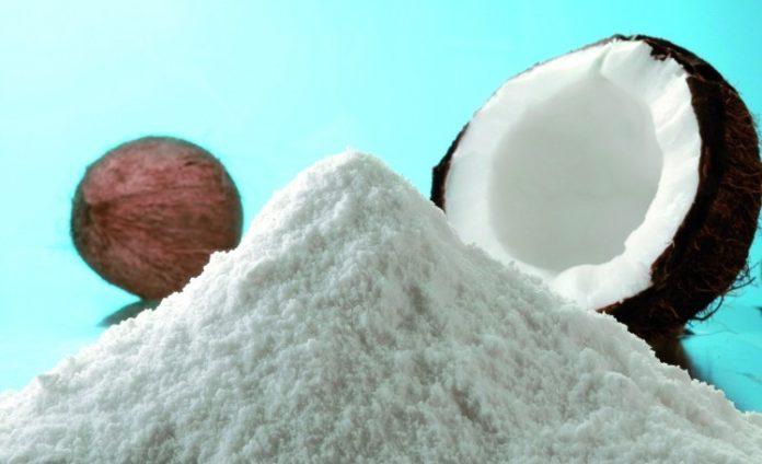 Coconut Milk Powder Market Report