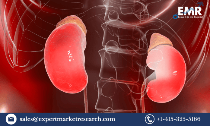 Congenital Adrenal Hyperplasia Treatment Market