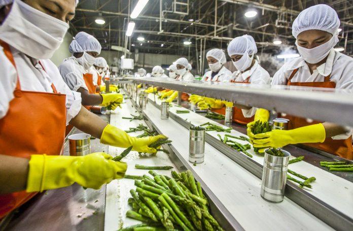 Food Processing and Technology Courses