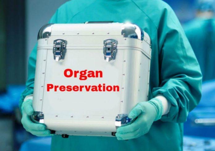 Japan Organ Preservation Market