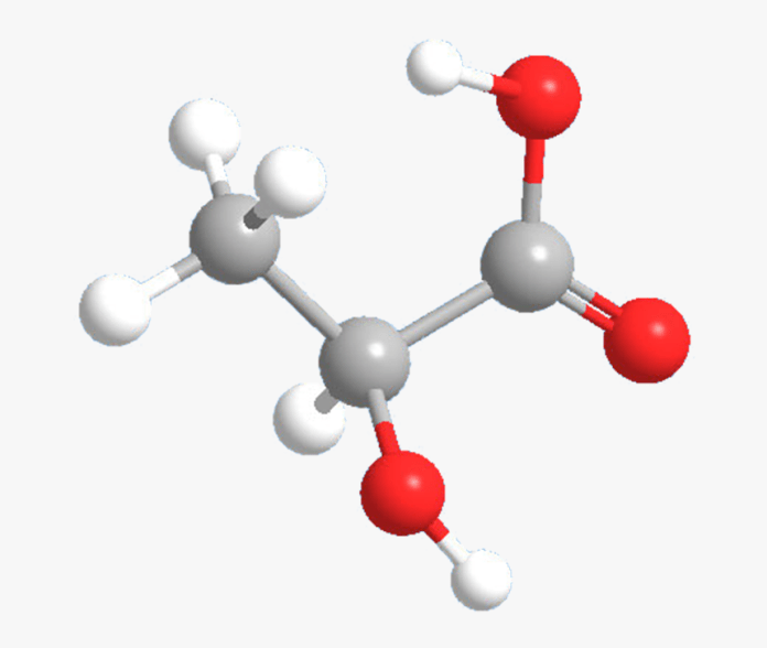 Lactic Acid Market Report