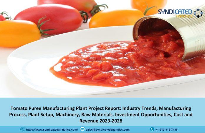 Tomato Puree Manufacturing Project Report