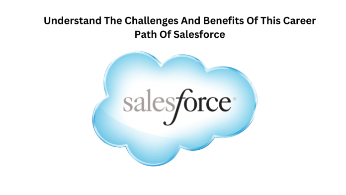 Understand The Challenges And Benefits Of This Career Path Of Salesforce