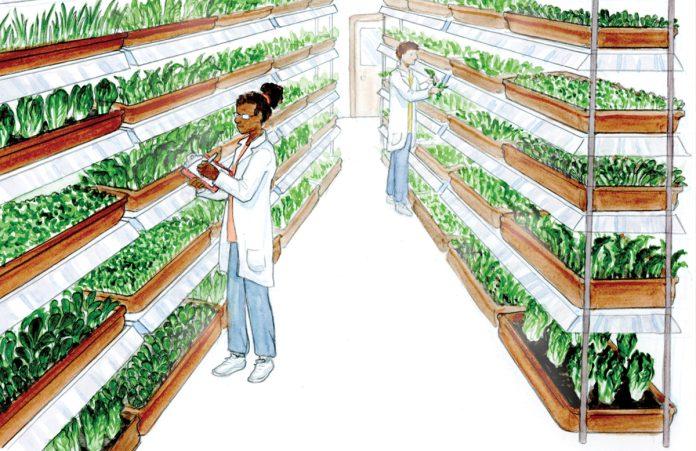 Vertical Farming Market