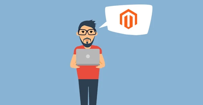 Magento developers in the USA