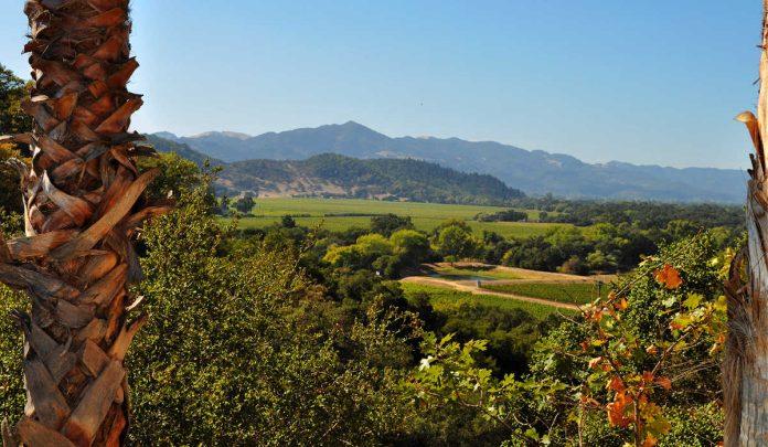 Enjoy your holidays in Napa Valley | Cheap flight to Napa Valley