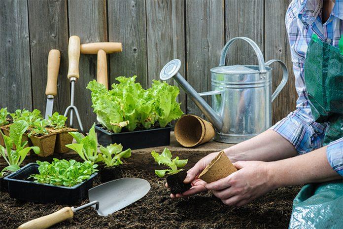 Gardening Equipment Market