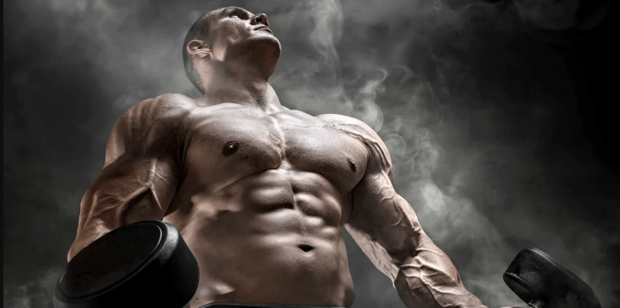 anabolic steroids online