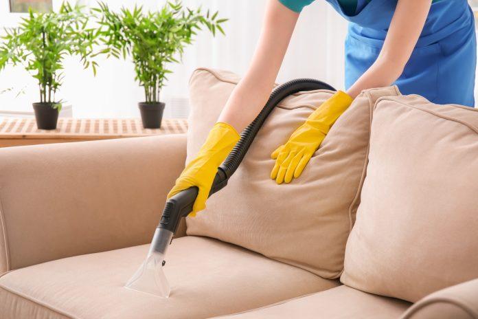 Couch Cleaning