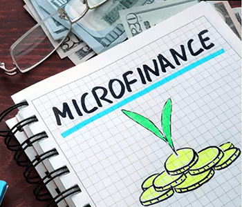 Microfinance software solutions