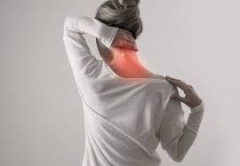 physiotherapy for lower back pain