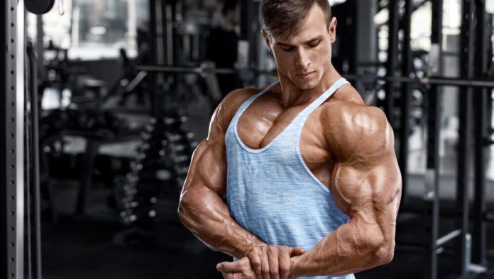 Top SARM Products For Fitness: Best SARMs Brands