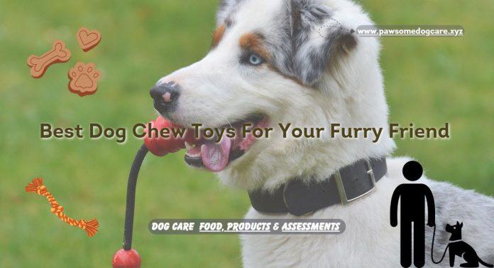 Best-Dog-Chew-Toys-For-Your-Furry-Friend