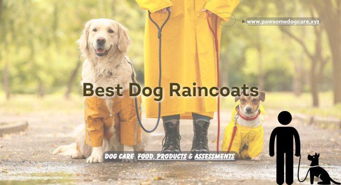 Best-Dog-Raincoats-For-Keeping-Your-Furry-Friend-Dry