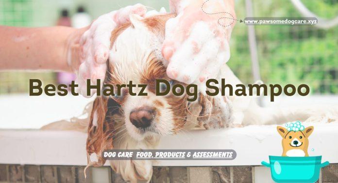 Best Hartz Dog Shampoo