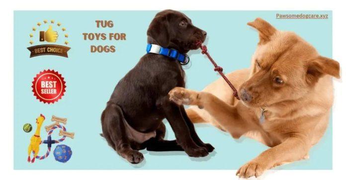 Best Tug Toys for Dogs