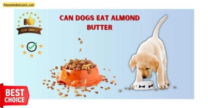 Can Dogs Eat Almond Butter?