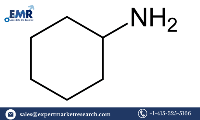 Cyclohexylamine Market