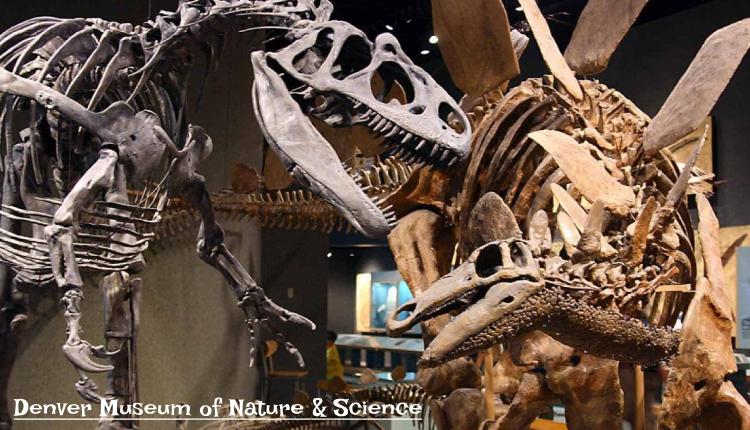 Denver Museum of Nature & Science