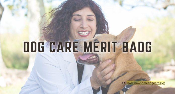 Pet Care Merit Badge